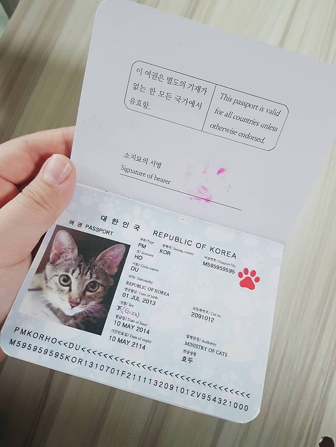 김설희씨와 박한송씨 남매는 길냥이 ‘호두’를 구조하고 병원에 자주 다니면서 ‘여권 동물수첩’을 만들게 되었다고 밝혔다. 사진 박한송이씨 제공