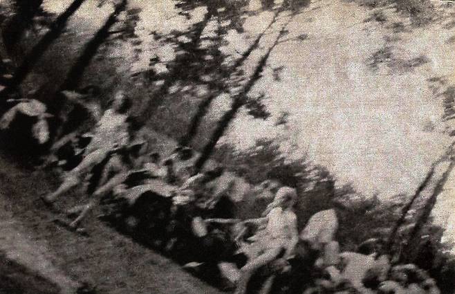 사진7 : 사진3 크롭 및 확대