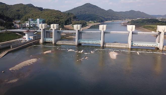 지난해 10월 수문을 완전히 연 금강의 공주보의 모습. 공주보는 차량이 오가는 공도교로 사용되는데다 수위가 낮아지면 지역 축제를 열기 어려워진다는 지역 민원이 거셌다.   | 연합뉴스