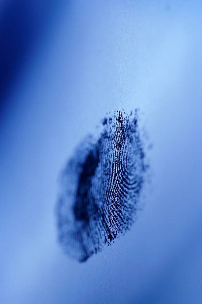 /사진제공=이미지투데이,