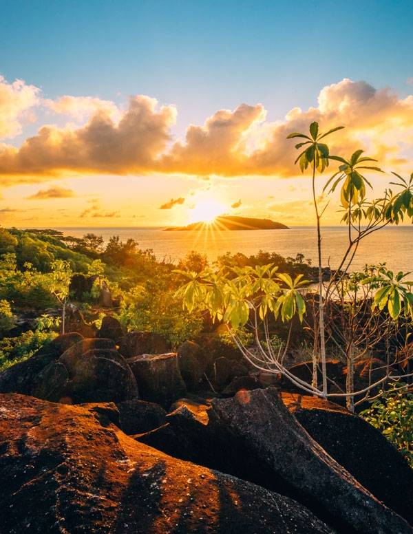 빛과 어둠이 공존하는, 개와 늑대의 시간