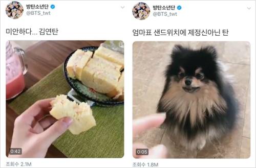 방탄소년단 트위터에 올라온 뷔의 반려견 ‘연탄’ 영상들