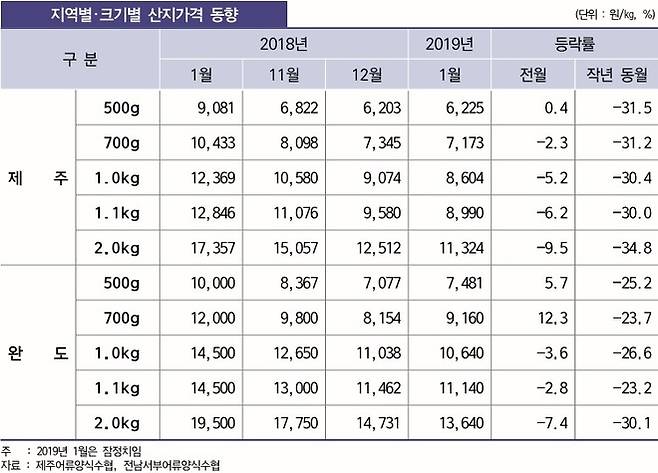 강원도 강릉시 화력발전소 인근에서 넙치류 양식장을 운영하는 김병덕(60) 동일수산 대표가 출하 시기를 넘긴 수조 속 광어를 바라보고 있다. 이정하 기자