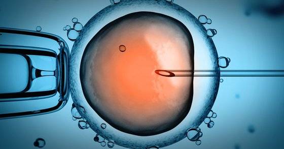 난자가 정자로부터 하나의 n을 받아 완전한 염색체 2n을 갖게 되면, 이를 수정되었다고 표현한다. 사진은 난자(둥근 모양)에 정자를 찔러 넣는 시험관 시술. [중앙포토]