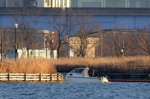 지난 1월 큰고니를 쫓아낸 후 삼락보트 계류장으로 향하는 모터보트 [습지와새들의친구 제공]