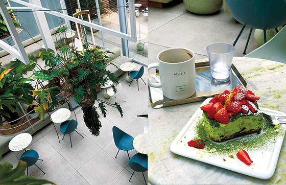 요가복 브랜드로 유명한 뮬라웨어가 만든 카페뮬라. 유리 온실에 초록 관엽 식물로 깔끔하고 싱그런 이미지다, 카페뮬라의 시그니처 메뉴인 녹차대왕티라미수
