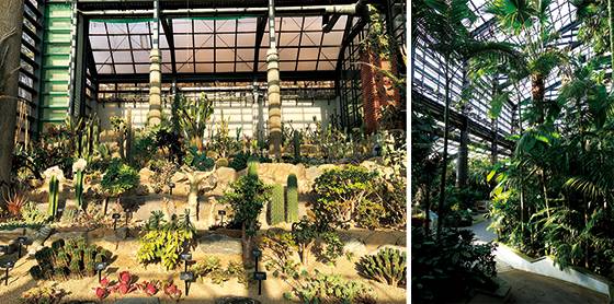 25m 높이의 유리 온실 안에 가득한 열대 식물들, 새단장한 식물원의 첫 번째 장관, 다양한 선인장이 가득한 사막관