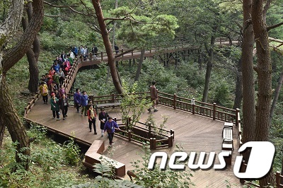 국립산림치유원 데크로드 © 뉴스1