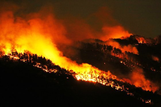 27일 오후 5시 40분쯤 경북 구미시 고아읍 대망리 왕산골 캠핑장 뒷산에서 난 산불이 강한 바람을 타고 빠른 속도로 번지고 있다. [뉴스1]