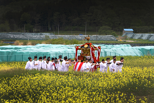 ⓒToyoda 후쿠시마 이타테의 오이카즈치 신사에서 10년 만에 열린 제사 행렬(왼쪽). 유채꽃 뒤로 오염토를 담은 포대를 모아놓은 임시 저장소가 보인다.
