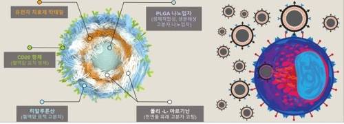 혈액암 표적화 나노 구조체 구조(왼쪽)와 혈액암 치료과정 모식도. [연구팀 제공]