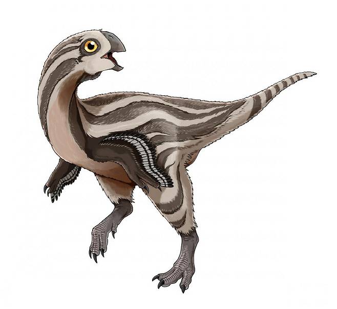 고비랍토르 미누투스의 상상도.