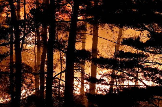 4일 강원도 고성에서 발생한 산불이 강풍을 타고 인근 속초까지 번졌다. 5일 오전 속초시 장사동 인근 산림이 불에 타고 있다. 장진영 기자