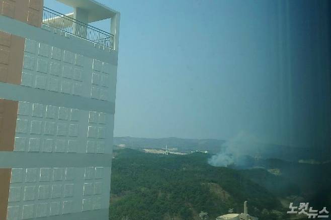 [속보] 포항 도심 인근 묘공산서 산불 | 인스티즈