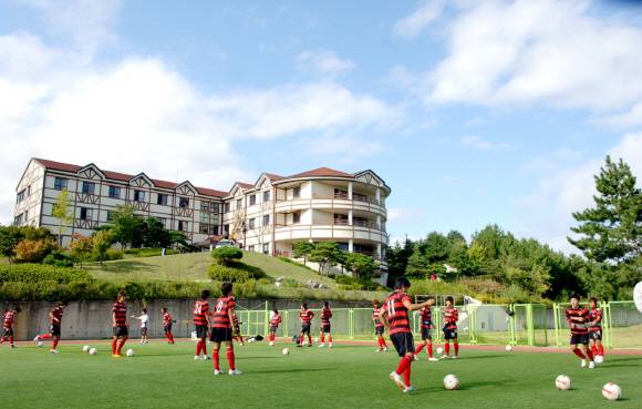 포항 스틸러스 제공