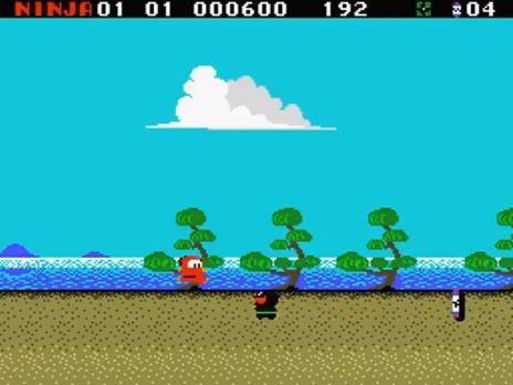 닌자군 아수라의 장