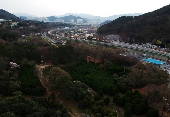 김세연 자유한국당 의원이 아버지로부터 상속받은 부산 해운대구 반송동 농지에는 관상수가 심어져 있다. 부산/김명진 기자 littleprince@hani.co.kr