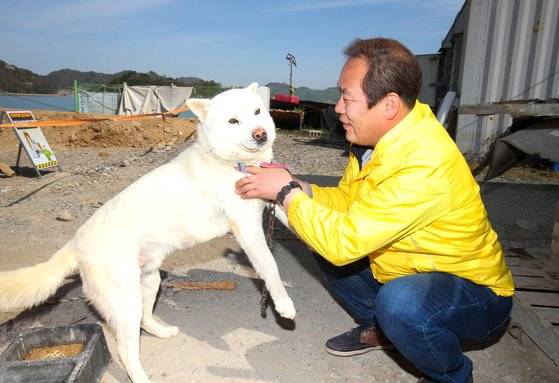 단원고 고(故) 고우재군 아버지 고영환(51)씨가 16일 진도 팽목항을 함께 지키는 진돗개 4마리 중 '팽이(수컷)' 목을 어루만지고 있다. 개들은 진도 주민들이 2015년 세월호 유가족들에게 선물했다. 프리랜서 장정필