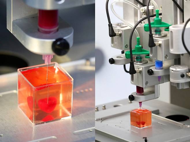 3D 프린터로 제작된 심장 (출처=AFP 연합뉴스)