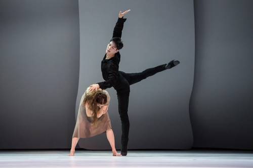 몬테카를로발레단 수석무용수 안재용 [마스트미디어 Alice Blangero 제공]