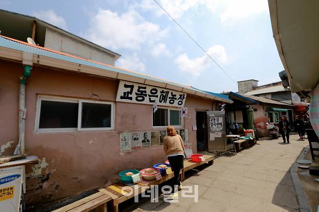 교동도 대룡시장 내 교동은혜농장