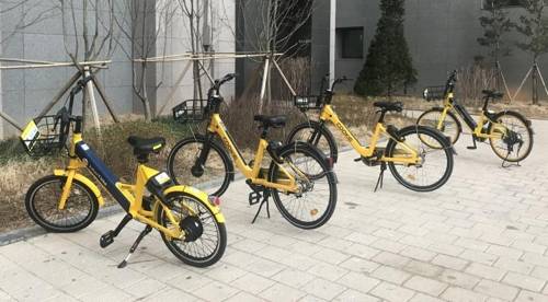 카카오T 바이크와 쿠키 자전거[연합뉴스 자료사진]