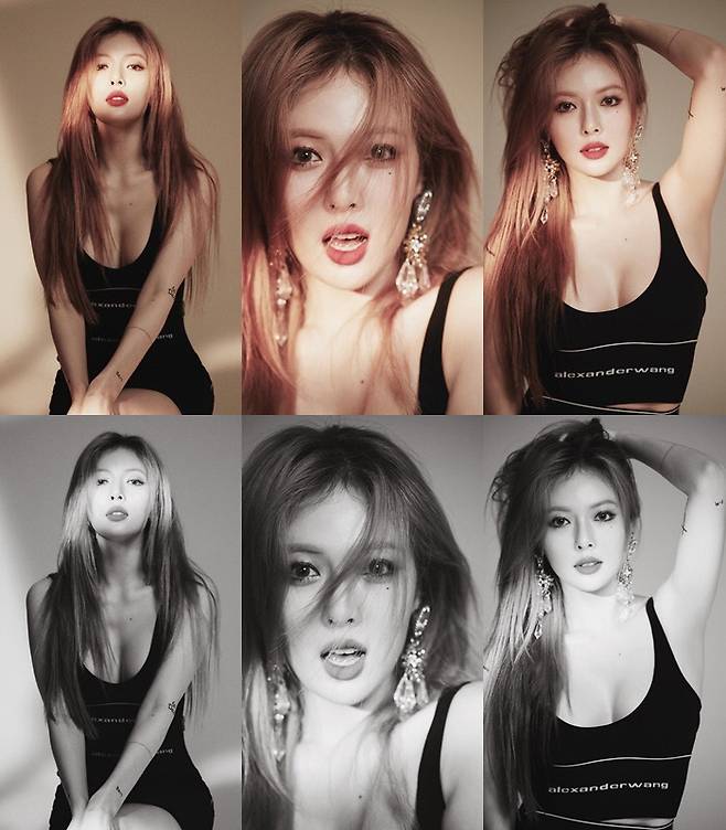 피네이션 인스타그램