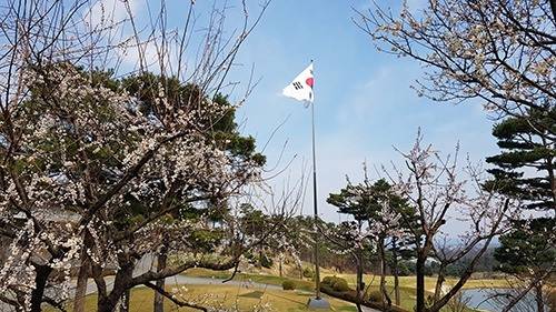 클럽하우스 앞에 게양된 대형 태극기.