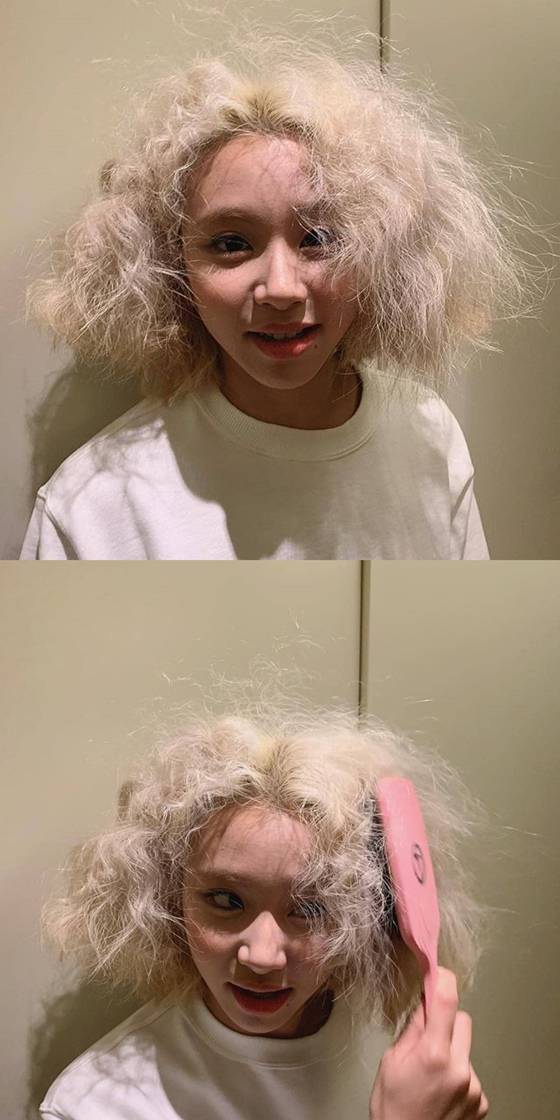 트와이스 멤버 채영 /사진=트와이스 공식 인스타그램