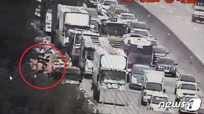 24일 오후 4시쯤 경부고속도로 통도사 휴게소~부산방향 2km 지점에서 소 한마리가 출몰해 교통정체가 빚어졌다. 경찰이 소를 갓길로 밀어넣고 가둬놓은 모습.(부산지방경찰청 제공)© 뉴스1