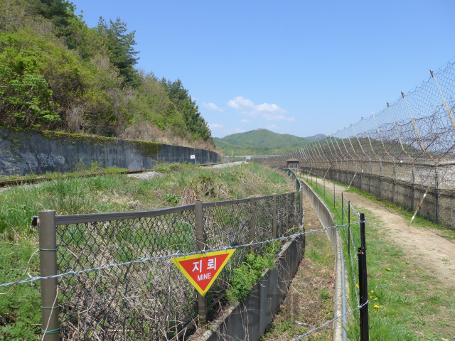 DMZ ‘평화의 길’에 놓인 동해 북부선 철로 인근에 분단의 아픔을 드러내듯 ‘지뢰 경고판’이 설치돼 있다.