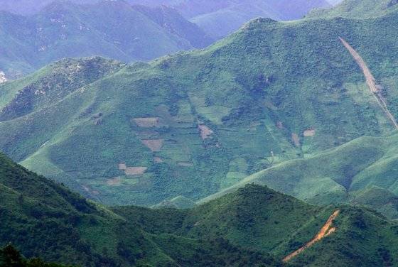 비무장지대 북쪽 강원도 김화군의 산림 황폐화 모습. [사진 녹색연합]