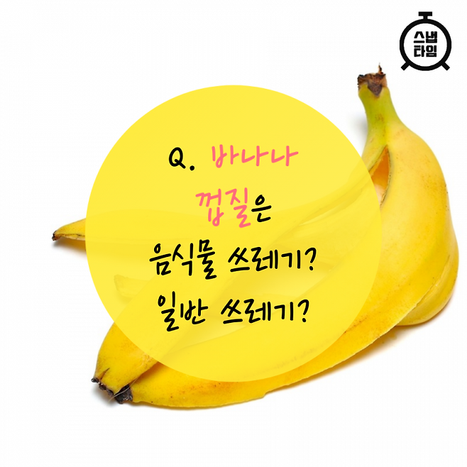 (사진=이미지투데이)