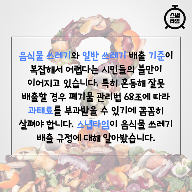 (사진=이미지투데이)