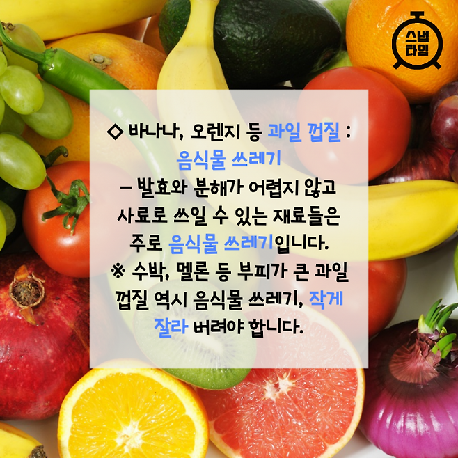 (사진=이미지투데이)