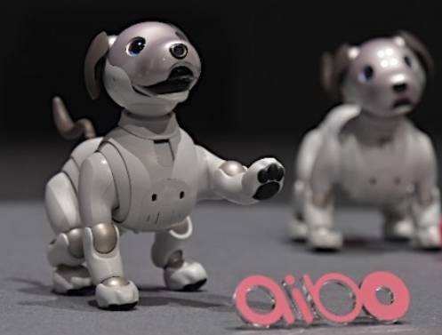 소니(SONY)의 강아지 형태의 반려로봇 아이보(Aibo).