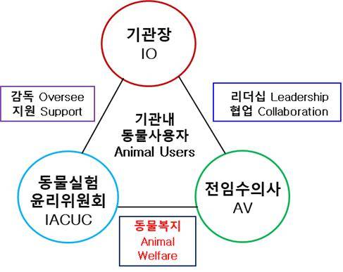 미국 실험동물의 관리와 사용에 관한 지침에 따르면, 기관은 동물실험윤리위원회와 함께 전임 수의사가 같이 있어야 한다. 하지만 한국은 위원회만이 기관 별로 1개씩 설치돼 있는 상태다. 사진제공 박재학