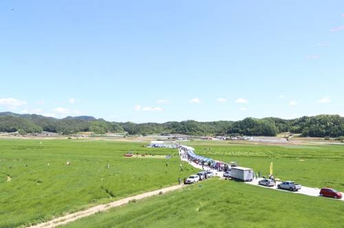 2018년 청보리밭 전경 [안동시 제공]