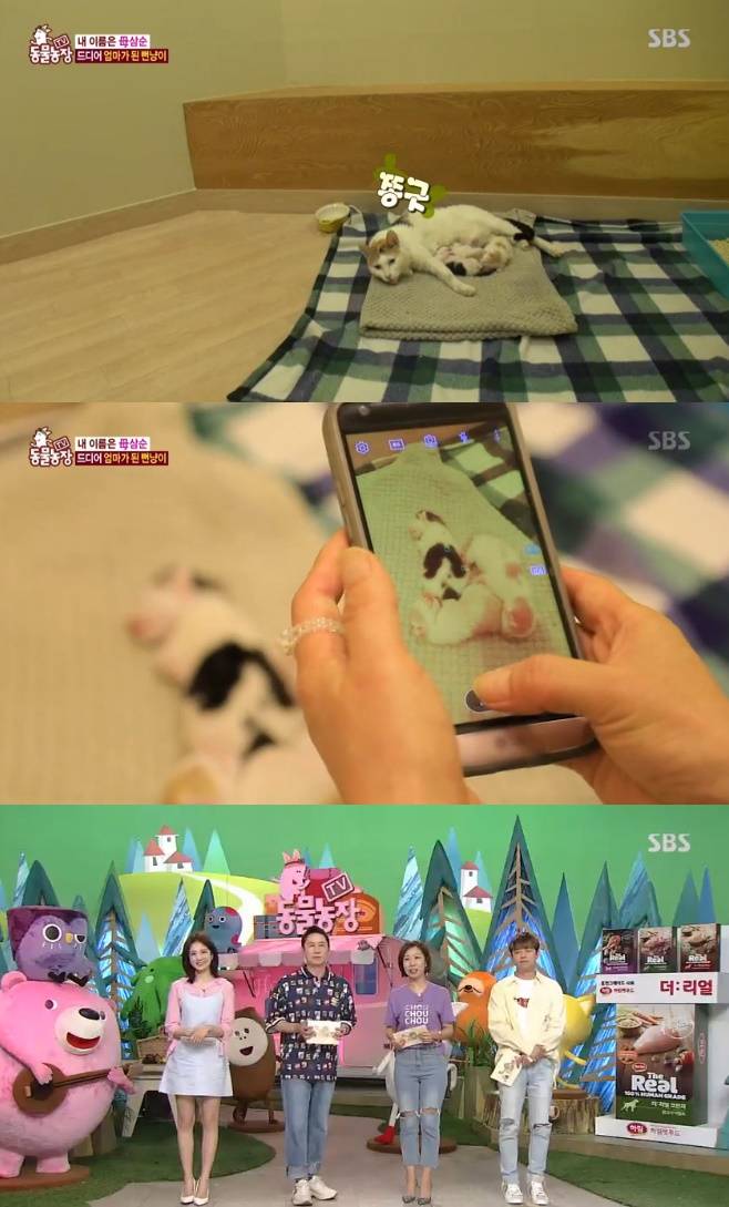 티브이데일리 포토