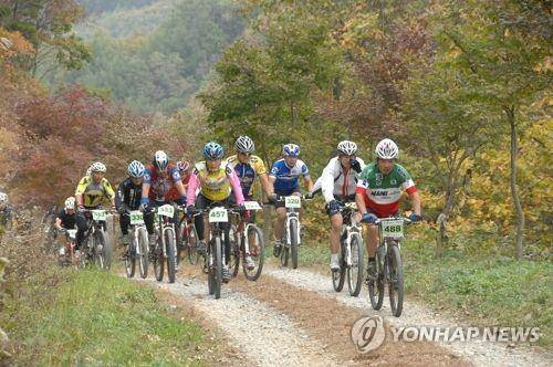 산악자전거 즐기는 사람들. 기사와 직접 관련 없음. [한국관광공사 세종충북지사 제공]