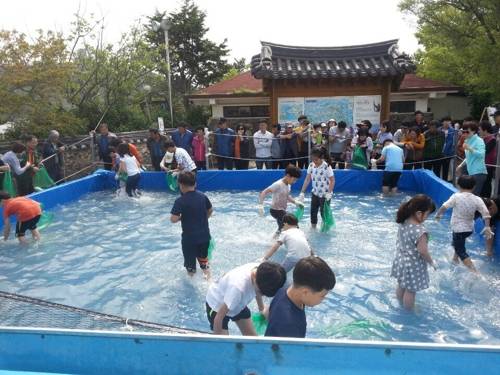 숭어잡이 체험 [해남군 제공]