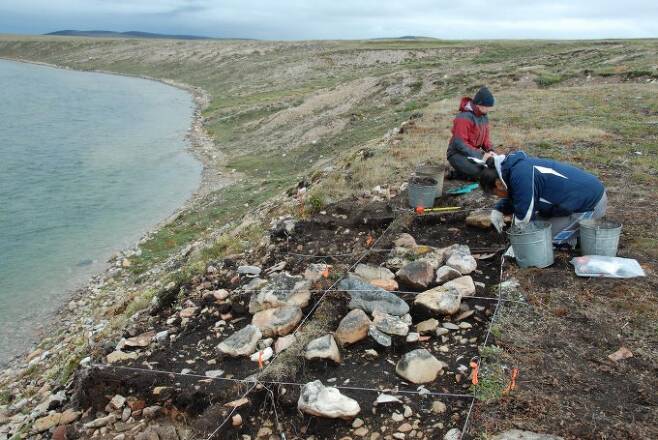 캐나다 북부 북극권 지역의 유적 발굴지의 모습이다. 두 팀의 연구자들이 게놈 해독을 통해 각각 미국 원주민 및 북극권 거주민의 기원을 밝혔다. 사진 제공 막스플랑크연구소