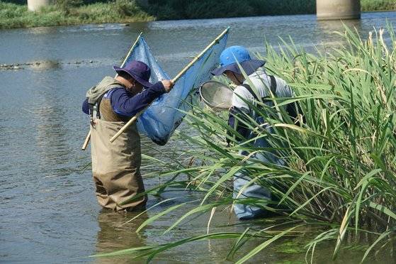 국립생태원 연구팀의 현장 조사 장면 [사진 국립생태원]
