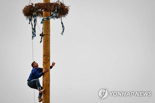 GERMANY PHOTO SET MAYPOLE CLIMBING