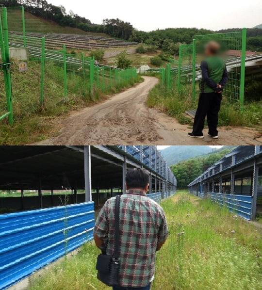 '추적60분' 태양광 발전 (사진=