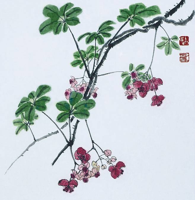 음양을 다 갖춘 으름덩굴. 으름은 머루, 다래와 함께 산에서 나는 3대 과일 중의 하나다. 으름덩굴의 잎은 다섯 개의 잎이 모인 손 모양 겹잎이다. 꽃은 암수가 따로 피는 단성화로 잎겨드랑이에서 총상꽃차례를 이루며 달린다. 작고 많은 수꽃은 6개의 수술과 퇴화한 암술이 있고, 적고 큰 암꽃은 퇴화한 수술과 6~9개의 심피가 붙어 있다. 연한 자줏빛의 갈색 꽃받침조각 3개가 꽃잎처럼 보인다. 으름덩굴, 23X22.5cm, 백설지에 수묵담채, 2019