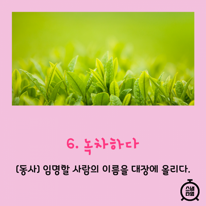 (이미지= 이미지투데이)