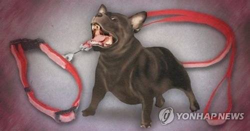 맹견들의 스트레스가 누적된 상태에서 일어나는 사고가 많다. [연합뉴스]