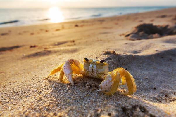 ©게티이미지뱅크