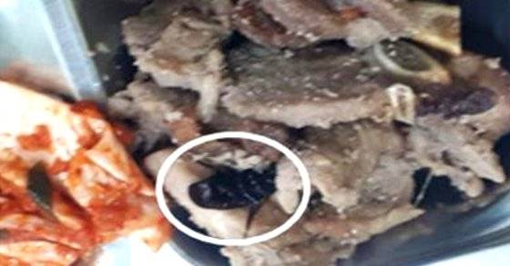 지난해 8월 국민권익위원회가 발표한 학교급식에서 발견된 바퀴벌레. [사진 권익위]